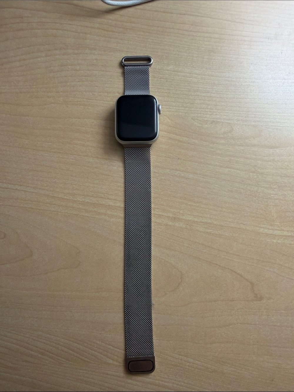 Apple Watch SE with stylish silver band